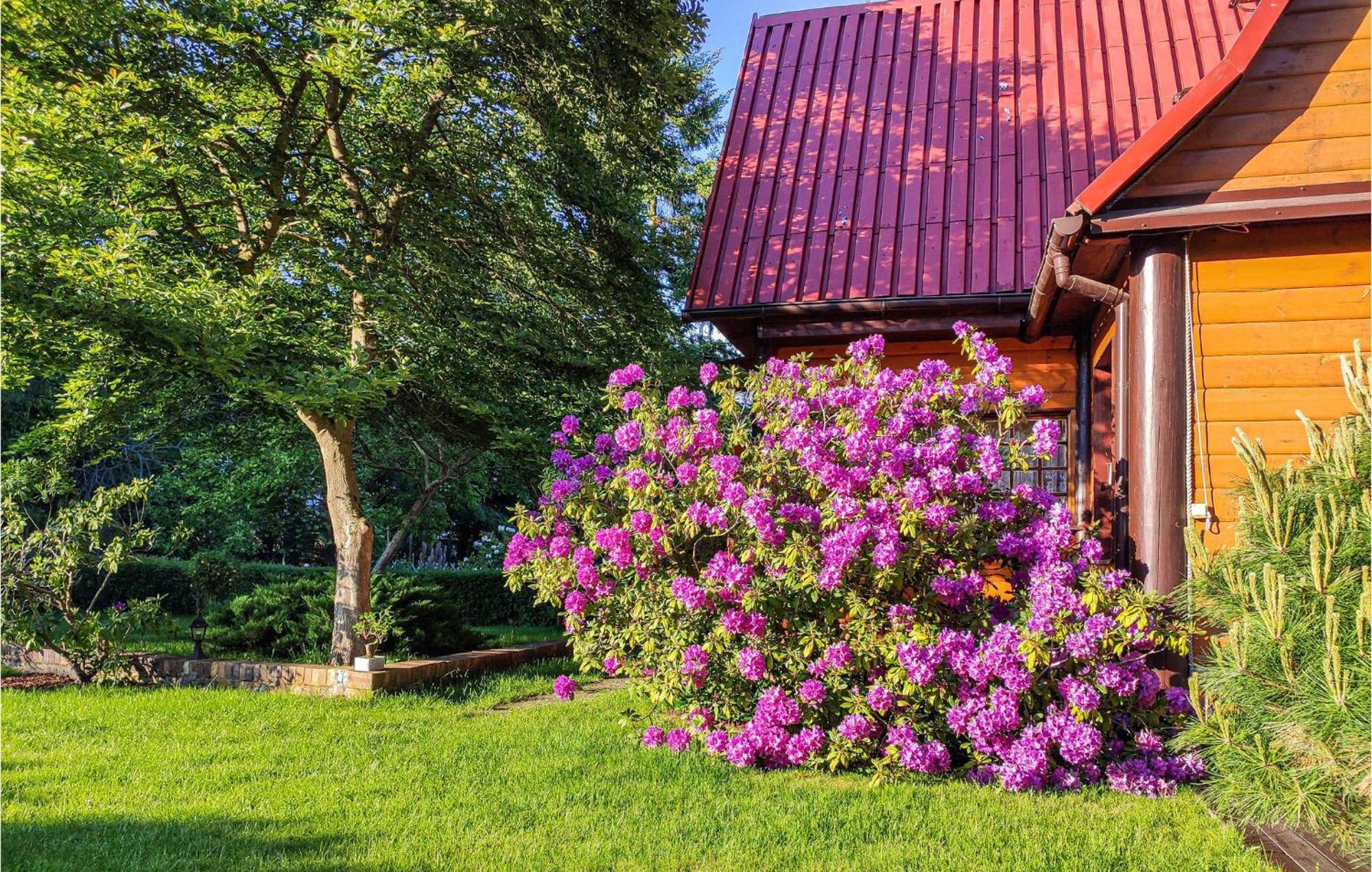 3 Bedroom Lovely Home In Nowe Warpno Extérieur photo